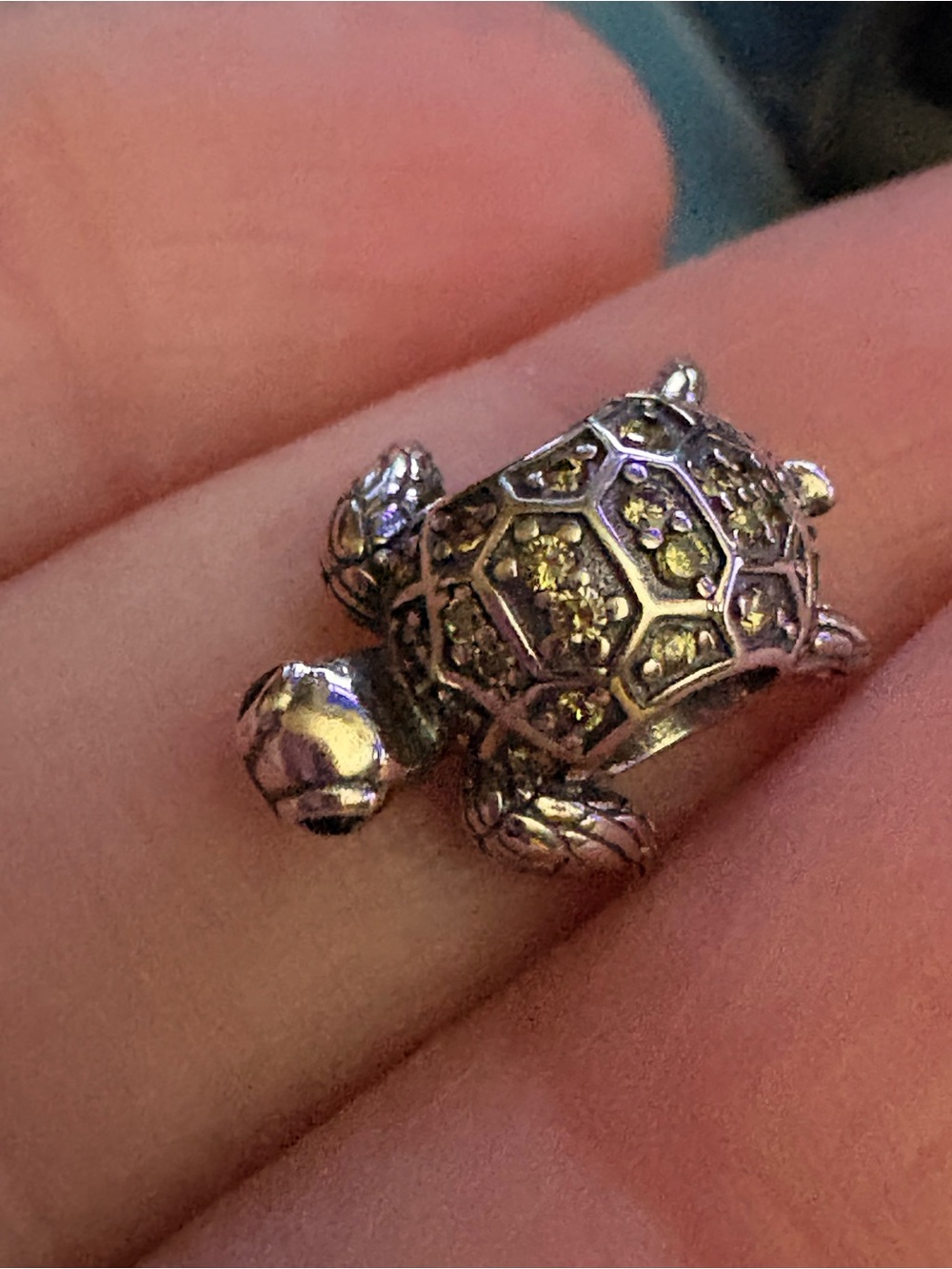 Tortoise with green stones